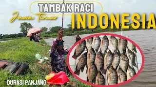 Bom lumut untuk mendatangkan ikan