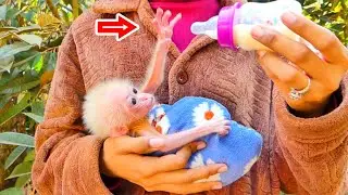 Kira very hungry almost can not wait mother to feed