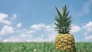 Ananas 🍍 Fruchtkopf (Shisha)