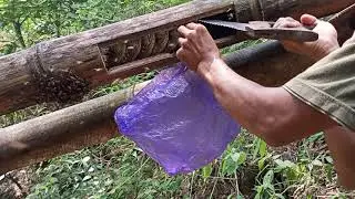 #lebahliar #maduhutan Hunting ke hutan Panen LEBAH Apis Cerana liar dalam bambu petung