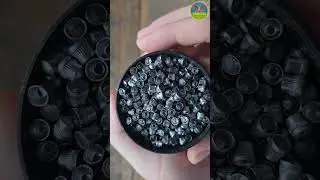 Пули для пневматического оружия Шершень DS-0.40 g (600 шт.)