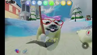 silly seal! 
