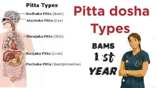 🎯🔥Pitta dosha types ( english explanation ❤️)