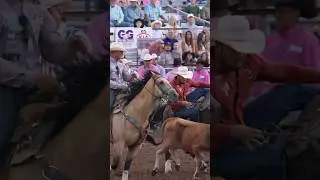Kyler Dick with 4.2 sec run Saturday night at the Dodge City Roundup. &zwnj;#steerwrestling  #rodeo