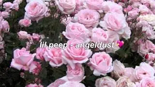 lil peep - angeldust 💖