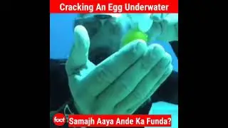 Egg breaking underwater | Factovation | Purnima Kaul