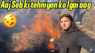 Aaj seb ki tehniyon me lgaii aag 🔥😍 #rajputvarsha #viralvideo #himachalpradesh #pahadi 