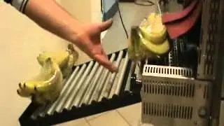 Pratika 56 CS Packaging machine - bananas