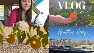 HEALTH VLOG:  picking fruit, teeth health, see what I see :)