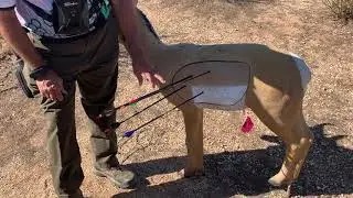2018  Archery Senior Games