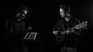 OneRepublic - Didn't I (Cover)