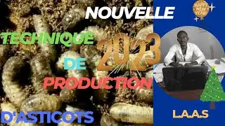 LA NOUVELLE TECHNIQUE DE PRODUCTION RAPIDE D'ASTICOTS