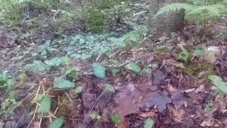 When Mother Nature Calls