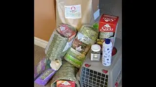 Guinea Pig Supply Haul: Pellets, Hay & Accessories