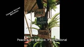 Peace is not passive, it's intentional #WhisperedWellness #SoftSpoken #GuidedCalm