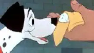 Birds, Bees, and Dalmations