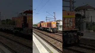 G1206+Wagons plats.