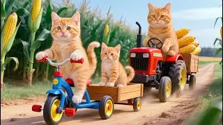 Mama Cat Harvests Corn and Makes Popcorn for Her Kitten — A Heartwarming Farm Story 🌽🍿🐱💖