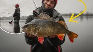 Gezielt auf GROSSBARSCH im Winter! | Der perfekte Saisonauftakt