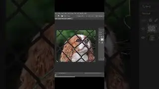 How to remove shelves in photoshop l Remove fence or cage photoshop cc #photoshop #shorts #tutorial