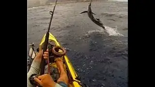 Big Game Kayak Fishing SailFish