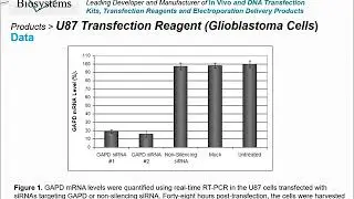 Altogen Biosystems U87 Transfection Reagent