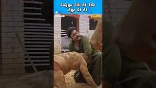 Guggu Gill at 61 | Hardeep Grewal | Chaupal | Shikaari 2 | Latest Movies | #shorts #youtubeshorts