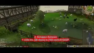Lisa's MoneymakingGuide for Runescape