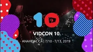 VidCon 10