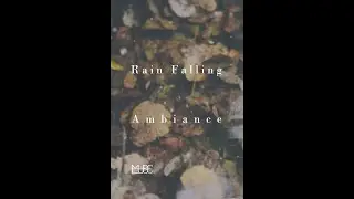 Rain Falling on Leaves to Inspire You 🌦 | #short Escape 🔊