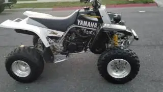 2002 stock banshee