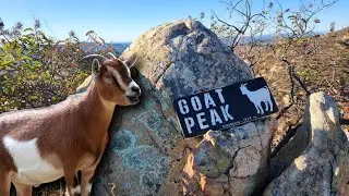 GOAT PEAK HIKE :San Diego