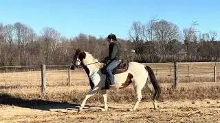 Jog and Lope on Storm 