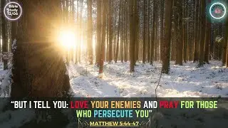 Matthew 5:44 - Bible Study December 6th, 2023 #dailybread #ourdailybread #prayerwarriors
