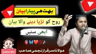 Hafiz Sarfaraz Najmi  by Hasan mustafa حسن مصطفی