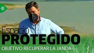 Espacio Protegido |  Objetivo recuperar la Janda, la que llegó a ser la laguna más grande de España