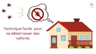 ASTUCE SIMPLE POUR SE DEBARASSER DES CAFARDS