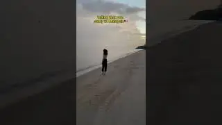 One year in Malaysia🇲🇾🥳 #studentlife #malaysia #studyabroad #malaysiatravel