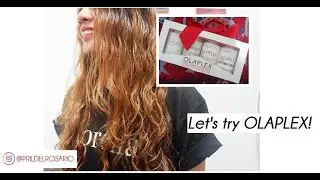 TRYING OLAPLEX | HAIR CARE ROUTINE