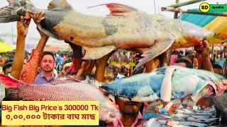 Fish Mela Mirpur Bazar Market - Jagannathpur মাছের মেলা মিরপুর বাজার মার্কেট - জগন্নাথপুর
