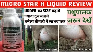 Microstar h liquid | microstar h uses in hindi | udder| microstar h liquid uses | microstar h review