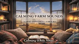 Relaing Farm Ambiance Bedroom Window | 3 HOURS Calm Countryside Sounds for Study, Sleep & Meditation
