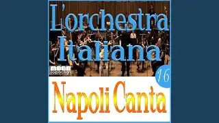 La pansè (Musical base Version)