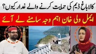 Why Are Kalabagh Dam Supporters Called Traitors? | Aimal Wali Khan