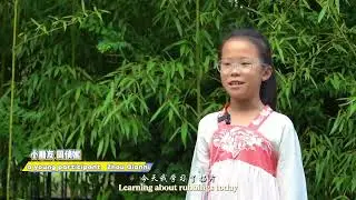 China's Stone Rubbings: Getting a Feel for History