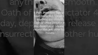 Alt Path. #PresidentTrump reelected. Transition bad .Dictator 4 a day, deportation, pardons, protest