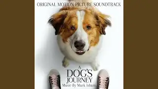 A Dog’s Journey / A Dog’s Purpose