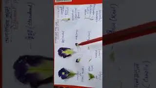 Low cost teaching aid in Life Science