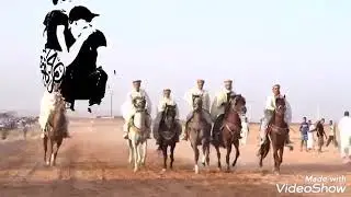 مهرجان البوازید بلدیة الدوسن