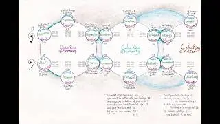 Codon Ring of Humanity